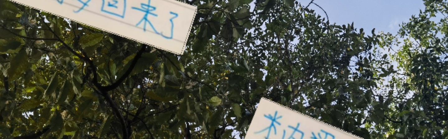 好消息！米内罗回申花 坏消息剩余7轮打不 如有马莱莱出勤率多好