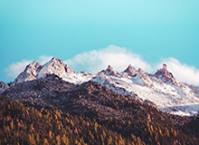 瓦尔德内尔：樊振东一直是最出色球员之一，相信他会取得辉煌成就